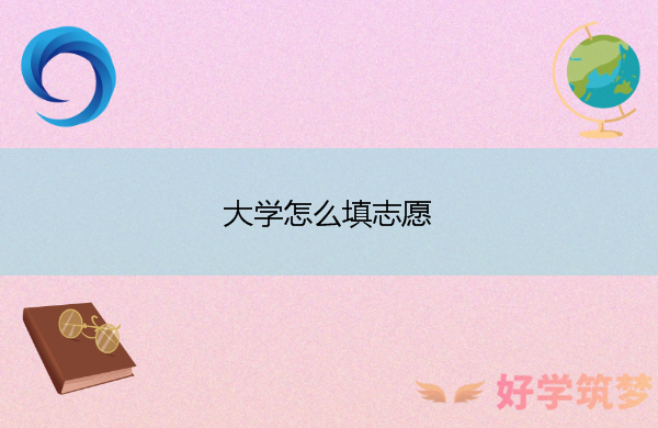 大学怎么填志愿